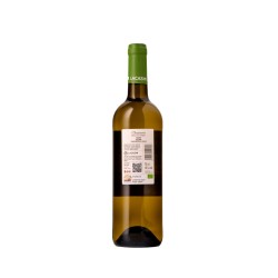 Vino Blanco Seco Canario Ecológico